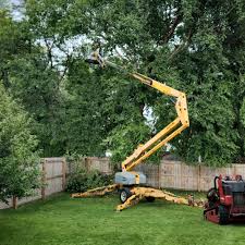 Best Arborist Consultation Services  in Pittsboro, NC